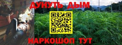 гидра Моздок