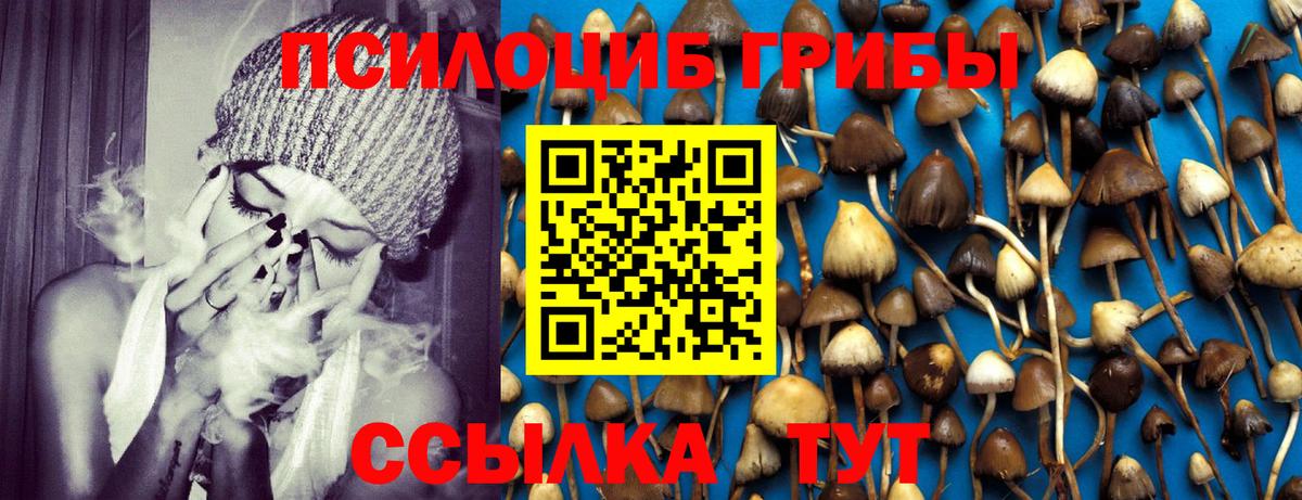 Галлюциногенные грибы ЛСД Энгельс