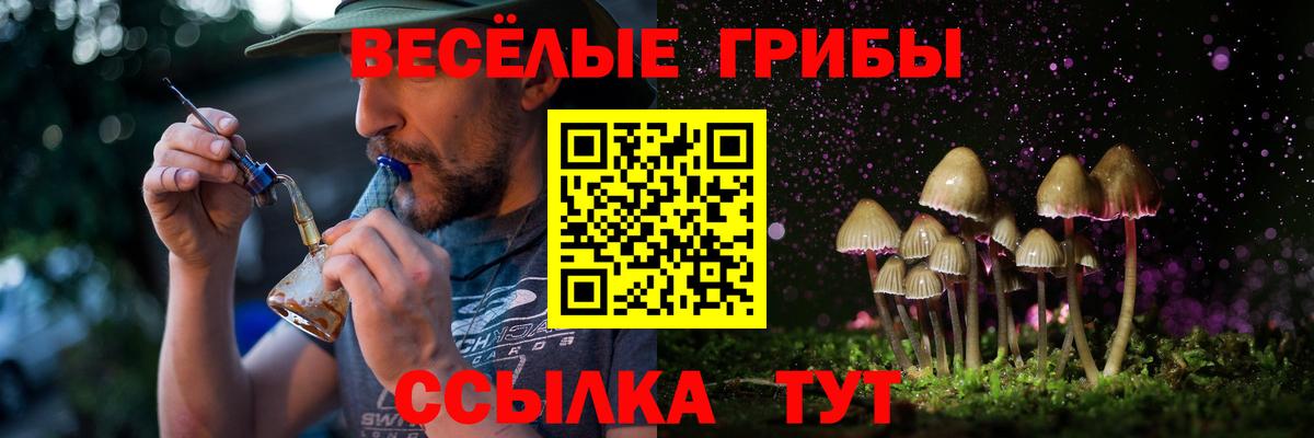 Псилоцибиновые грибы MAGIC MUSHROOMS  Галлюциногенные грибы прущие грибы  Энгельс  Вход с VPN 